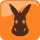 Les mules d'abord