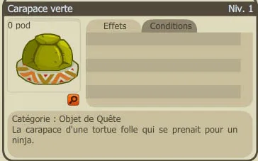 Carapace verte