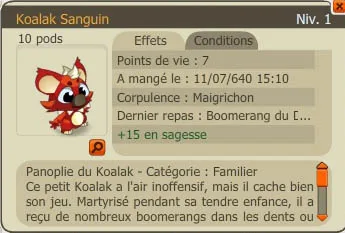 Koalak Sanguin