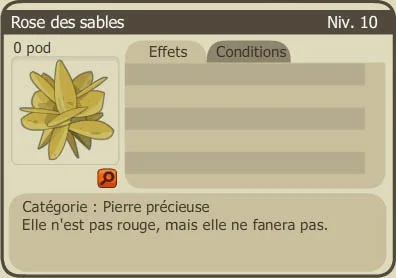 Rose des sables