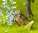 indice chasse
