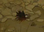 indice chasse