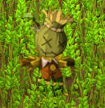 indice chasse