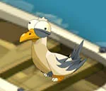 indice chasse