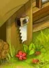 indice chasse