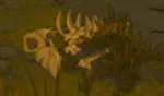 indice chasse