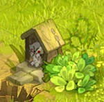 indice chasse