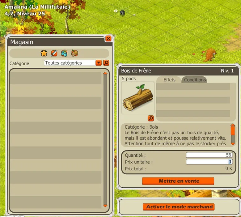 Tutoriel Incarnam