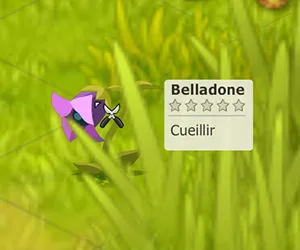 ressource métier