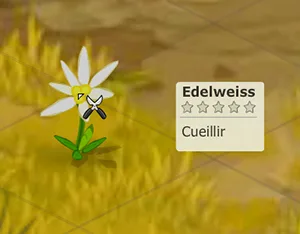 ressource métier