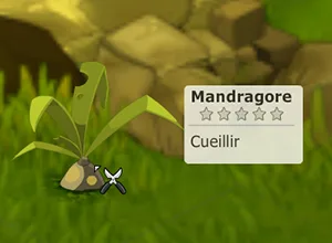 ressource métier