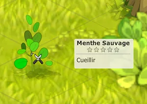 ressource métier