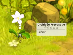 ressource métier