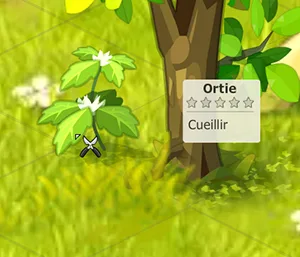 ressource métier