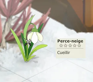 ressource métier