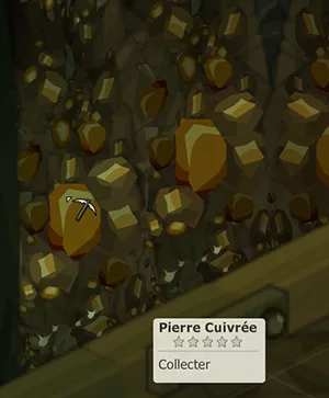 ressource métier