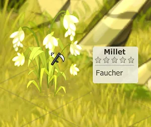 ressource métier