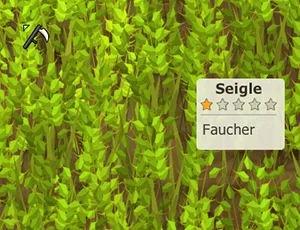 ressource métier