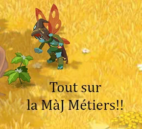 Image news - Les métiers de dofus